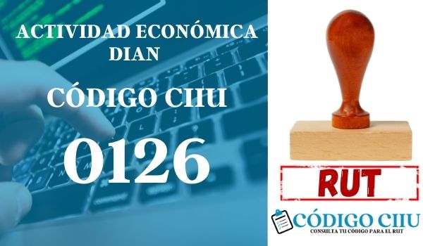 actididad economica 0126 ciiu dian rut