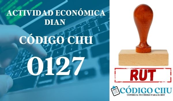 actididad economica 0127 ciiu dian rut