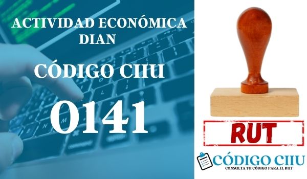 actididad economica 0141 ciiu dian rut