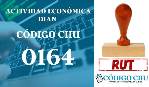 actididad economica 0164 ciiu dian rut