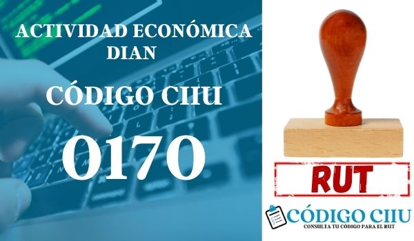 actididad economica 0170 ciiu dian rut