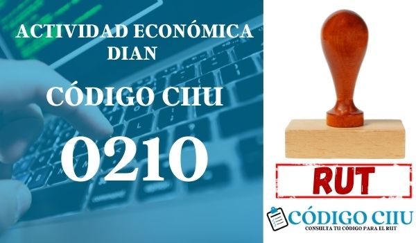 actididad economica 0210 ciiu dian rut