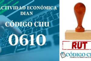 actididad economica 0610 ciiu dian rut