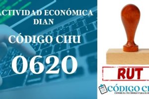 actididad economica 0620 ciiu dian rut