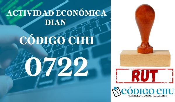 actididad economica 0722 ciiu dian rut