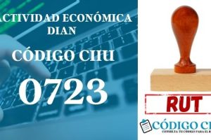 actididad economica 0723 ciiu dian rut