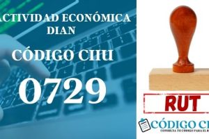 actididad economica 0729 ciiu dian rut