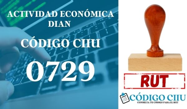 actididad economica 0729 ciiu dian rut