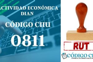 actididad economica 0811 ciiu dian rut