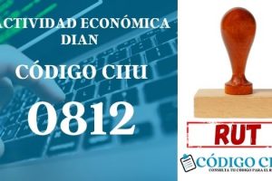 actididad economica 0812 ciiu dian rut