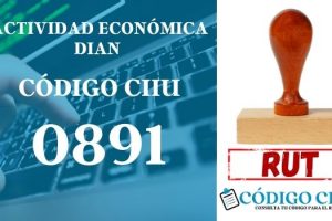 actididad economica 0891 ciiu dian rut