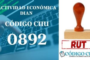 actididad economica 0892 ciiu dian rut