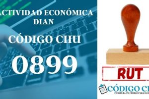 actididad economica 0899 ciiu dian rut