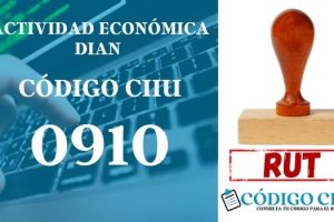 actididad economica 0910 ciiu dian rut