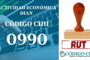 actididad economica 0990 ciiu dian rut