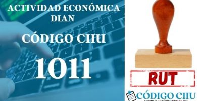 actididad economica 1011 ciiu dian rut