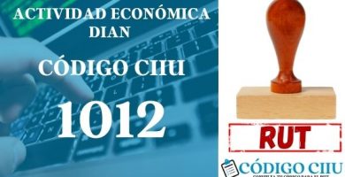 actididad economica 1012 ciiu dian rut