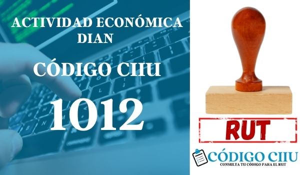 actididad economica 1012 ciiu dian rut