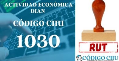 actididad economica 1030 ciiu dian rut