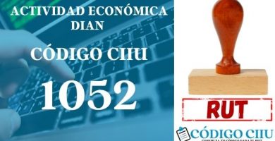 actididad economica 1052 ciiu dian rut