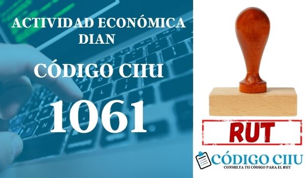 actididad economica 1061 ciiu dian rut