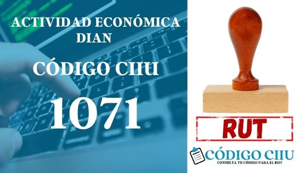 actididad economica 1071 ciiu dian rut