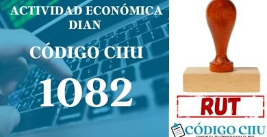 actididad economica 1082 ciiu dian rut