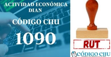 actididad economica 1090 ciiu dian rut