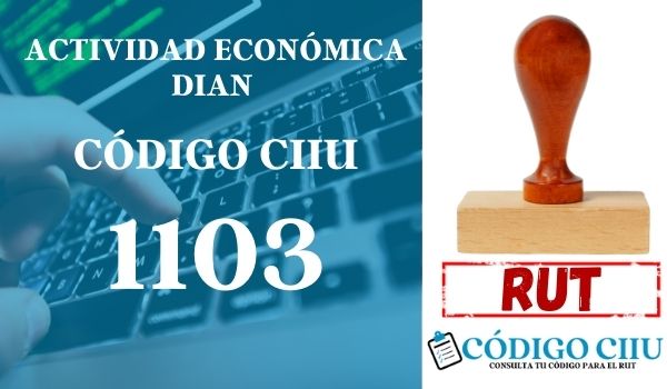 actididad economica 1103 ciiu dian rut