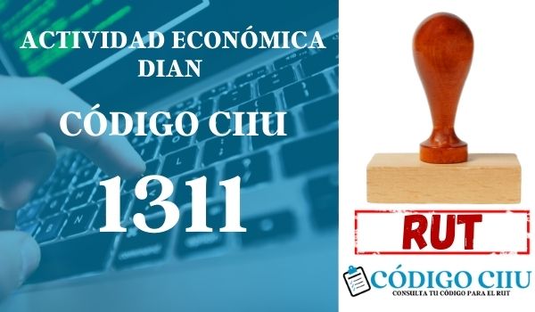 actididad economica 1311 ciiu dian rut