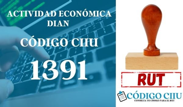 actididad economica 1391 ciiu dian rut