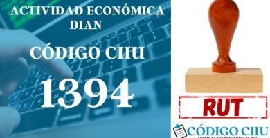 actididad economica 1394 ciiu dian rut