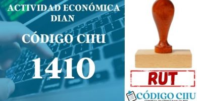 actididad economica 1410 ciiu dian rut