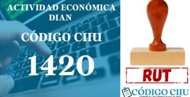 actididad economica 1420 ciiu dian rut