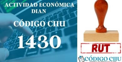 actididad economica 1430 ciiu dian rut