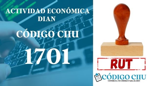 actididad economica 1701 ciiu dian rut