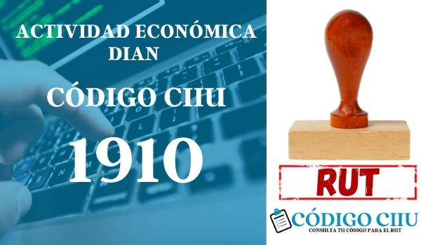 actididad economica 1910 ciiu dian rut