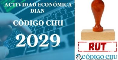 actididad economica 2029 ciiu dian rut