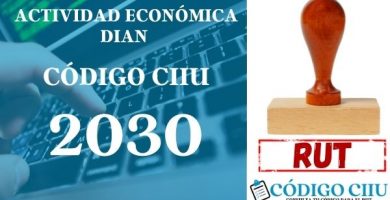 actididad economica 2030 ciiu dian rut