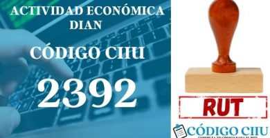 actididad economica 2392 ciiu dian rut