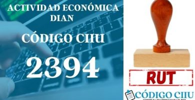 actididad economica 2394 ciiu dian rut