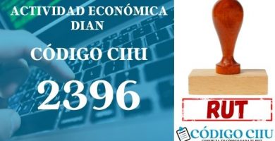 actididad economica 2396 ciiu dian rut