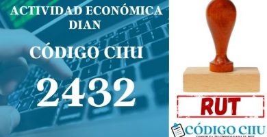 actididad economica 2432 ciiu dian rut