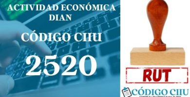 actididad economica 2520 ciiu dian rut