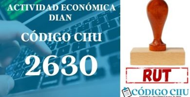 actididad economica 2630 ciiu dian rut