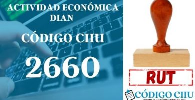 actididad economica 2660 ciiu dian rut