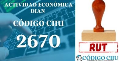 actididad economica 2670 ciiu dian rut