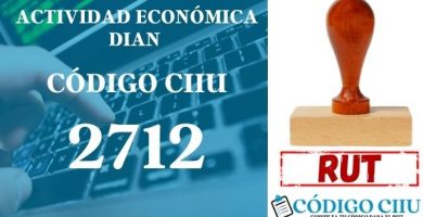 actididad economica 2712 ciiu dian rut