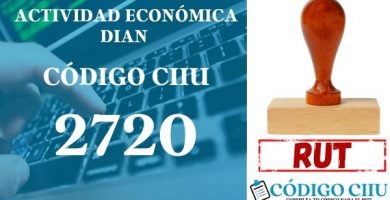 actididad economica 2720 ciiu dian rut