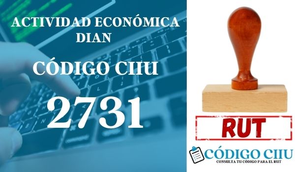 actididad economica 2731 ciiu dian rut